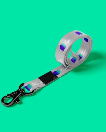 Lanyard